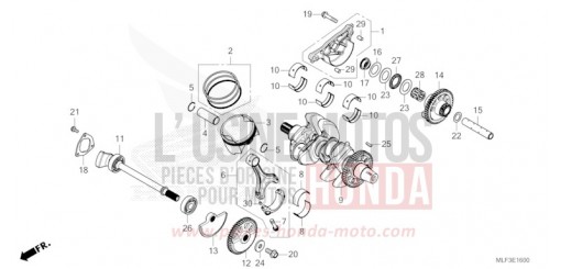 VILEBREQUIN/PISTON NT1100DN de 2022